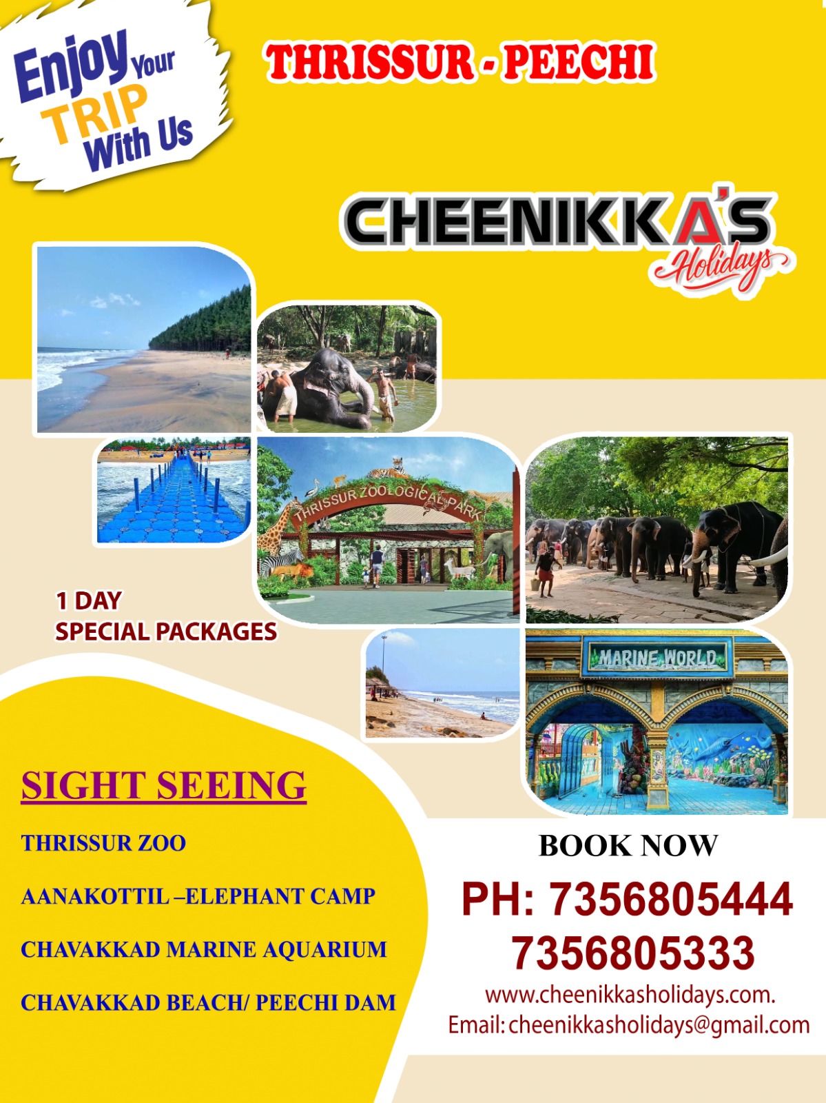 flyer12